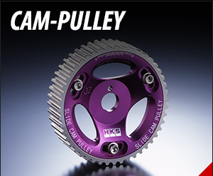 Cam Pulley