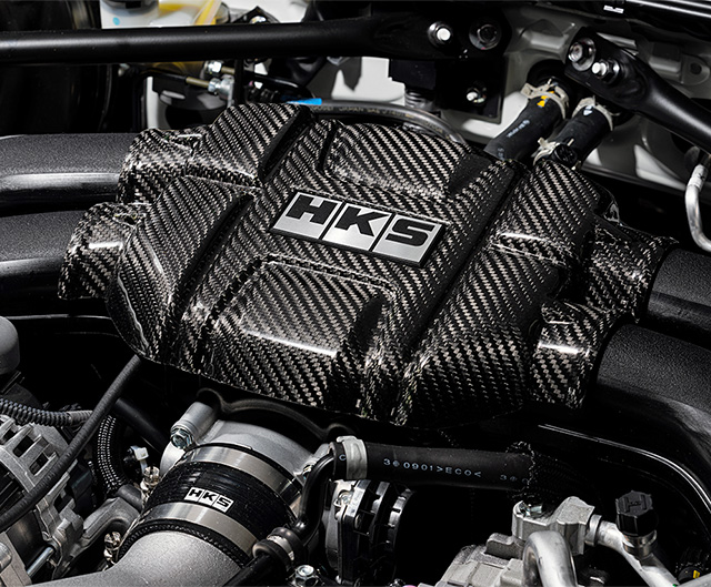 Carbon Engine Cover