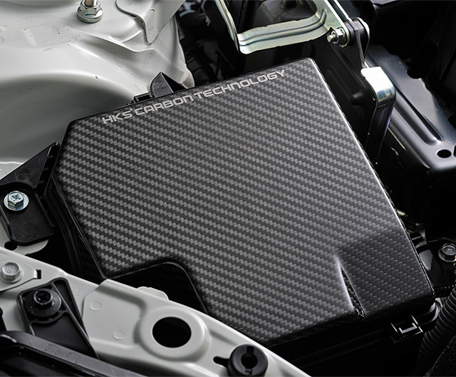 Carbon Fuse Box Cover