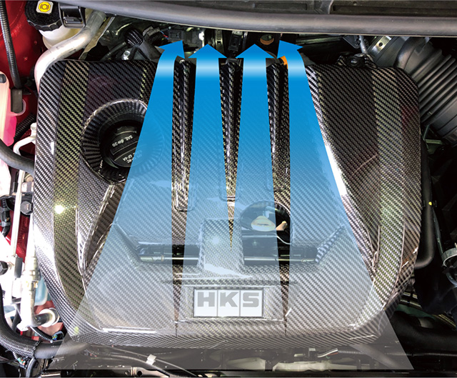 Carbon Engine cover