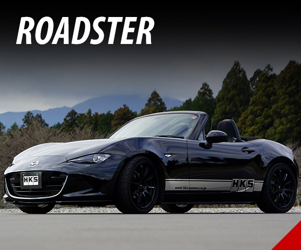 ROADSTER
