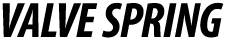 VALVE SPRING