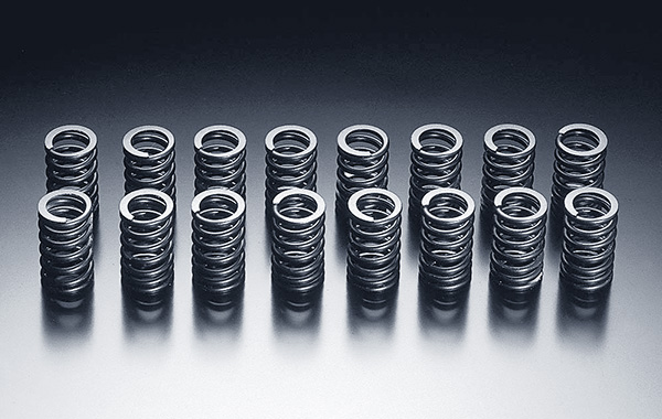VALVE SPRING