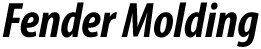 Fender Molding