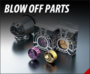 BLOW OFF PARTS