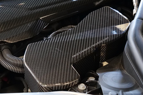 Carbon ECU Cover