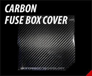 Carbon Fuse Box Cover