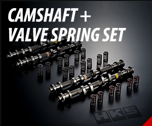 Camshaft + Valve Spring Set
