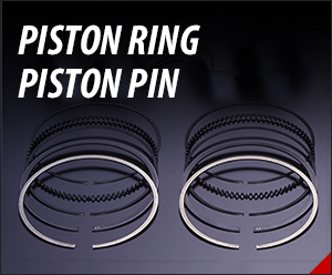 Piston Ring & Piston Pin