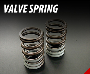 Valve Spring