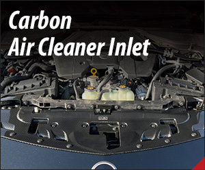 Carbon Air Cleaner Inlet