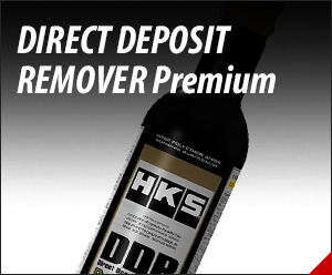 DIRECT DEPOSIT REMOVER Premium