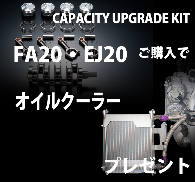 ビッグパワーキャンペーン