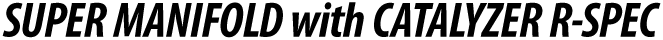 【スーパーマニホールド＋キャタライザー（R-SPEC）】