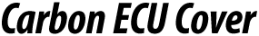 カーボンECUカバー