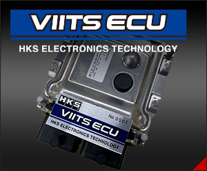 VIITS ECU